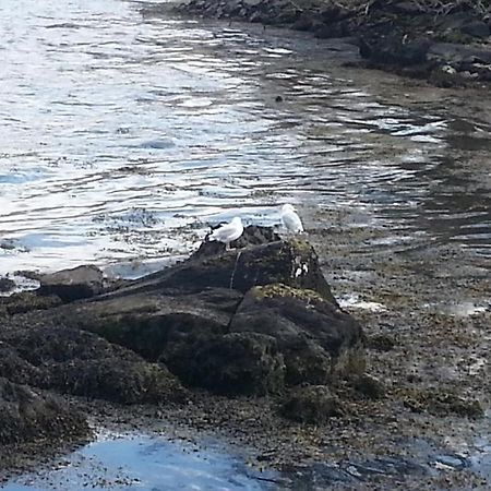Ardmore House Kenmare Zewnętrze zdjęcie